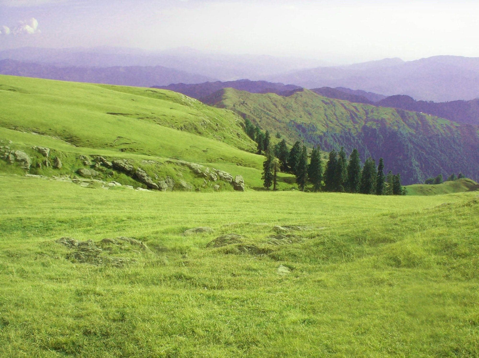 The high meadow at Toli Pir