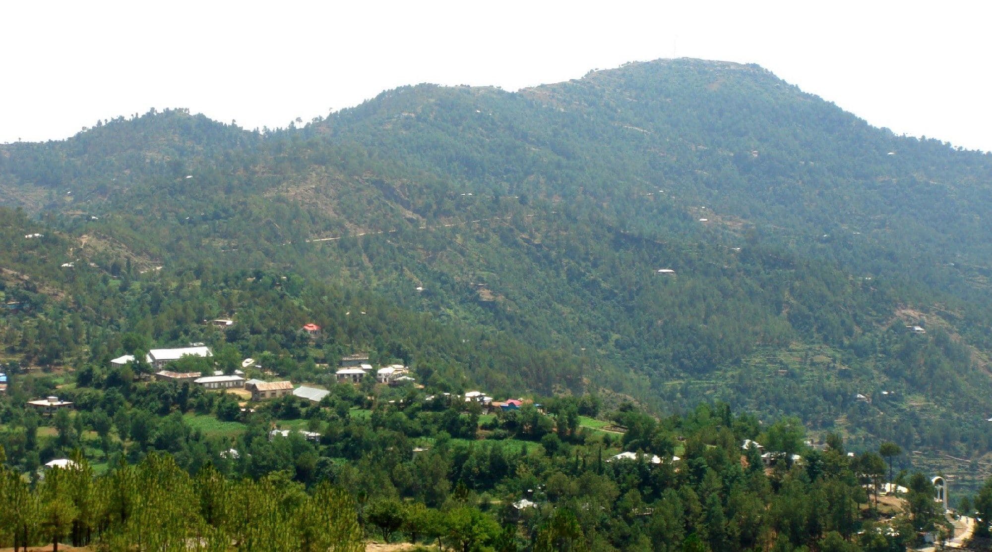 Homes and pine forest on the hillsides of Thorar